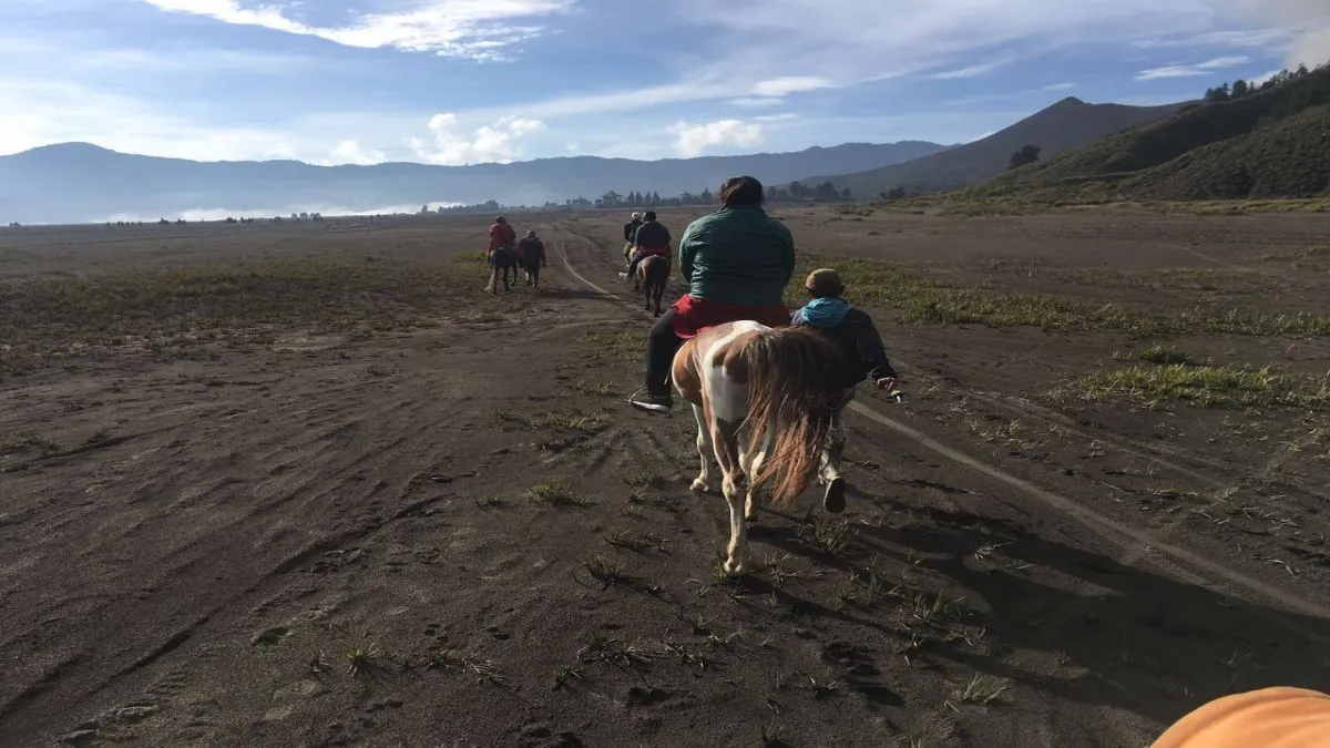 Malang - Bromo 4H3M