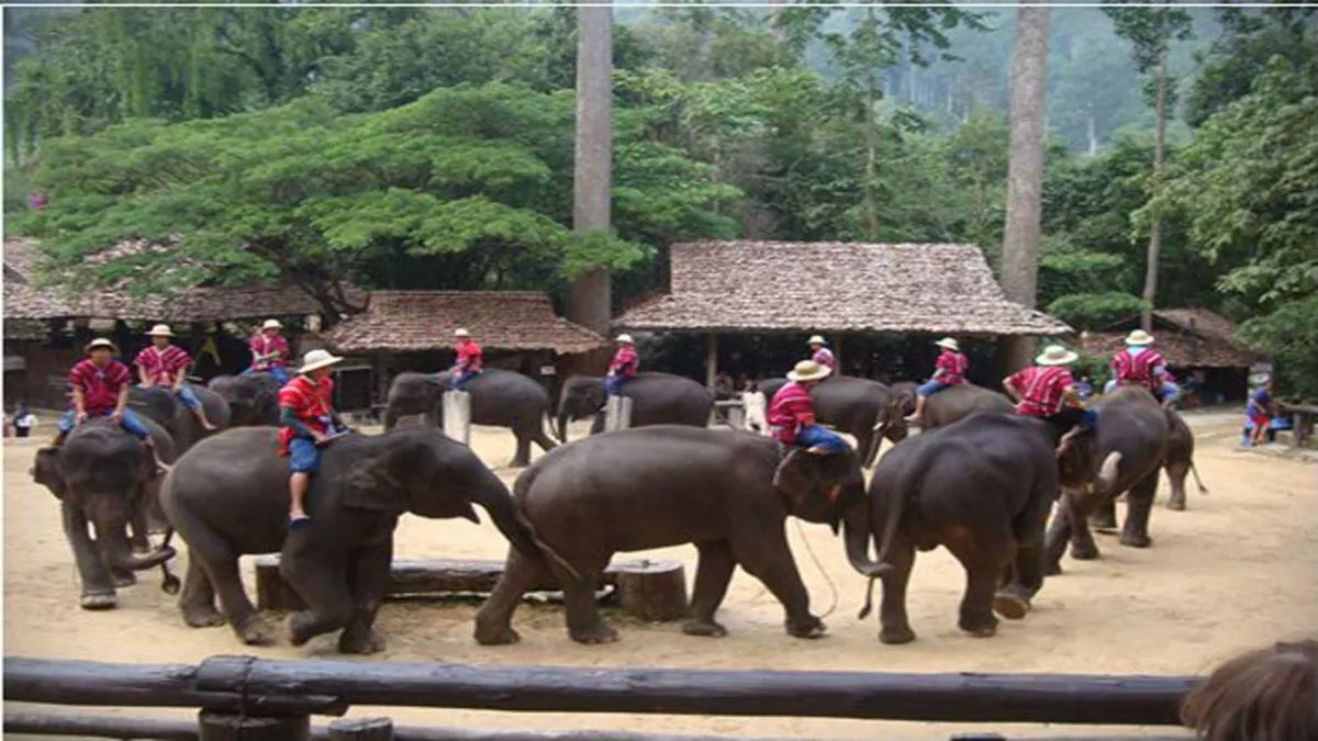Chiang Mai