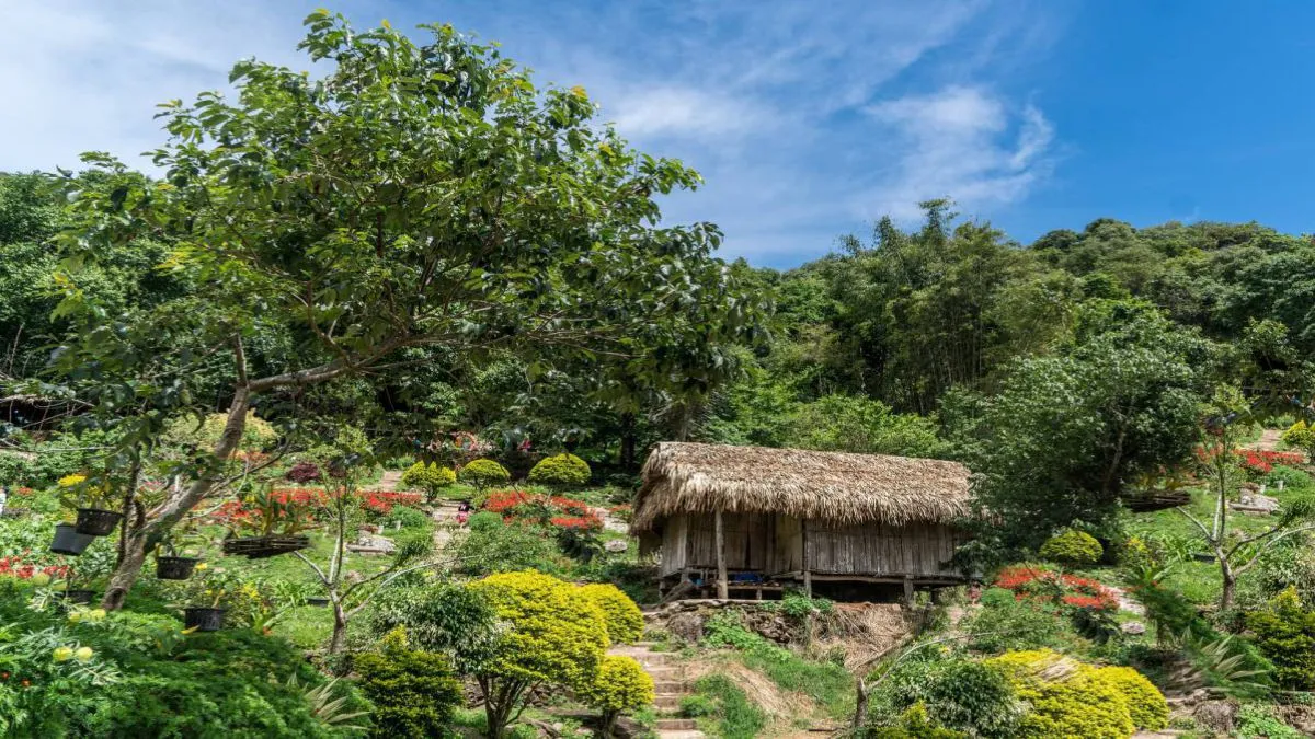 Chiang Mai - Chiang Rai
