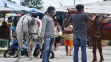 Lake Toba - Berastagi 3H2M