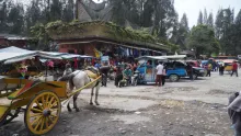 Medan - Berastagi - Toba