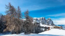 Ski Musim Sejuk Korea