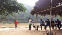 Taman Negara